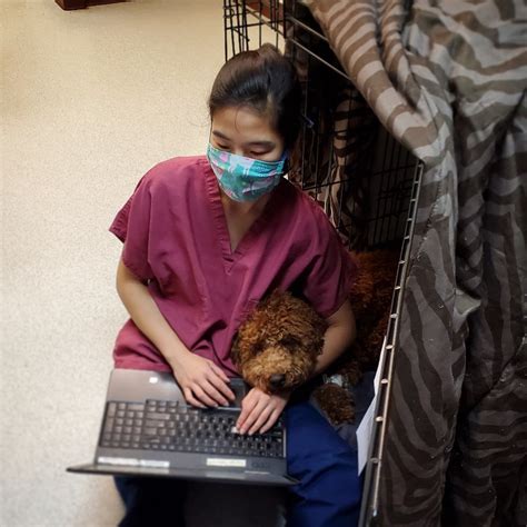 Reading animal clinic - Veterinary Practice Management:<br>Manage day- to- day operations of Feline Veterinary… | Learn more about Nancy Cleveland's work experience, education, connections & more by visiting their ...